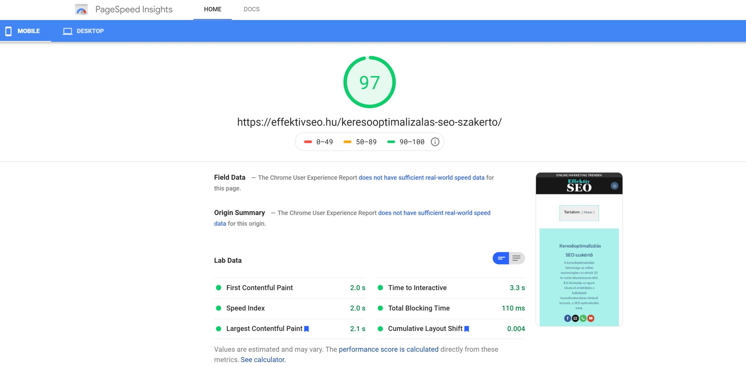 Page Speed Insights Google EffektivSEO Mobil